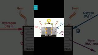 Fuel Cell Vehicle In 60 Second