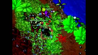 Tibia pk aurea part lll by teamrudskoga
