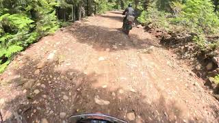 Oregon BDR Section 6