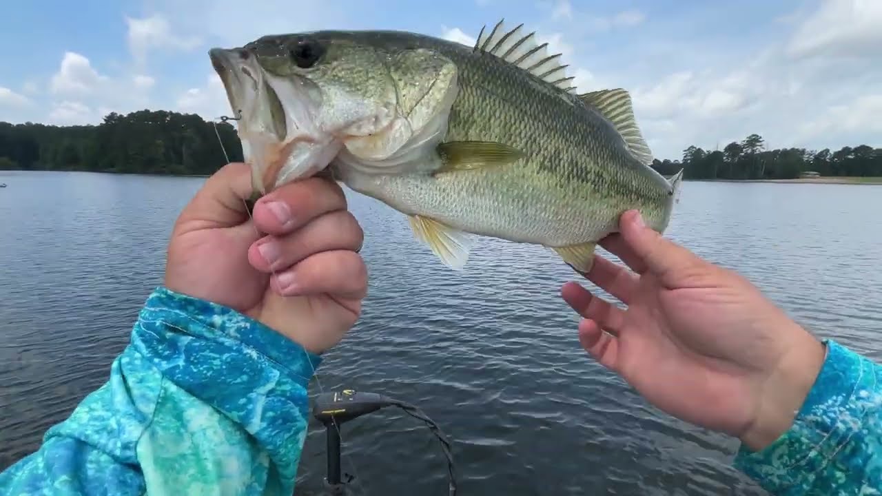 No Electronics / No Livescope, Bass Fishing!