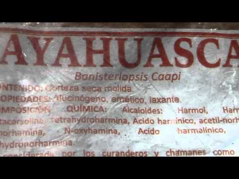 Ayahuasca- Banisteriopsis Caapi