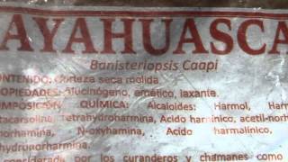 Ayahuasca- Banisteriopsis Caapi