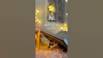 سورة العنكبوت {الآية 65_66} #ايات_قرانيه_قصيره #القرآن #راحة_نفسية