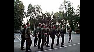 В русской армии маршируют под Леди Гагу