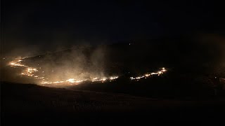 Şanlıurfa'da çıkan orman yangını korkuttu!