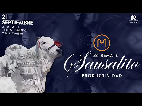 LOTE 38