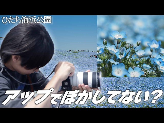 How to get a unique perspective when photographing flowers