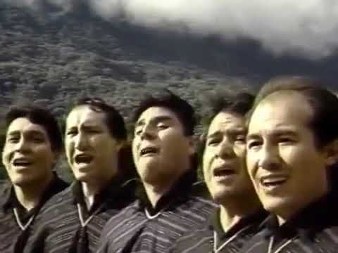 Ver video de Saya de color