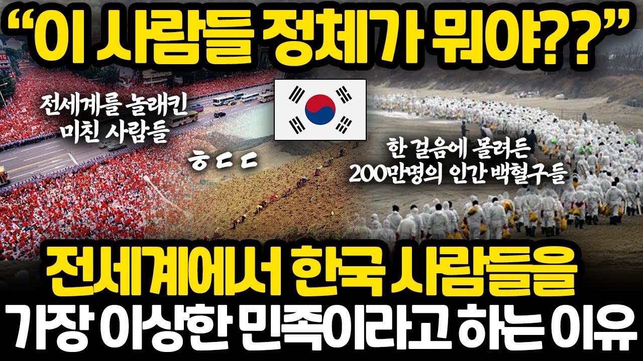 지금 재조명 되고 있는 세계에서 유일하게 한국만 해낸 것들 l 전세계에서 가장 단결이 잘되는 이상한 민족