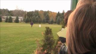 ReggieLureCoursing.wmv