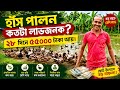 ১০০ হাঁস পালনে কত টাকা আয়। হাঁসের খামার।Duck Farming -Duck farming Bussines-Indian Runner Duck farm