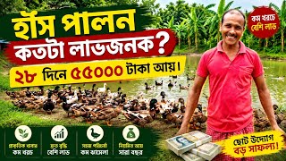 ১০০ হাঁস পালনে কত টাকা আয়। হাঁসের খামার।Duck Farming -Duck farming Bussines-Indian Runner Duck farm