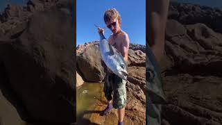 #fishing #fishingforfishies #gofish #fishinglife #goviral #fyp #getviral #bluefintuna #gamefishing