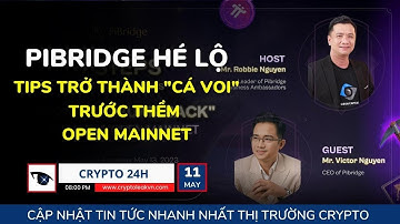 [Crypto 24h] - Pibridge Hé Lộ Tips Trở Thành "Cá Voi" Trước Thềm Open Mainnet