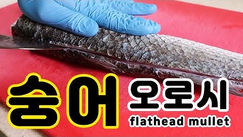 숭어도 똥집이 있다고? 맛있는 특수부위와 닭똥집과의 관계! flathead mullet 숭어오로시