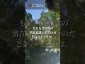 すべての反応は、自分の潜在意識から｜ホ・オポノポノ