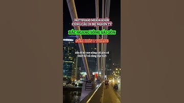 Nutifood muốn khởi công cầu đi bộ 1000 tỷ khó nhất thế giới bắc ngang sông SÀI GÒN sớm hơn 1 tháng