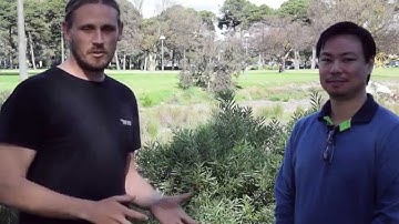 GroupMap Interview - Facilitation TV