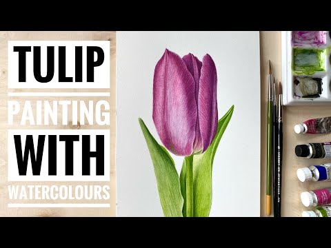 How To Paint Tulips in Watercolor  Painting Tutorial