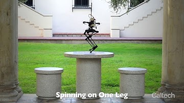 LEONARDO Bipedal Robot with Thrusters