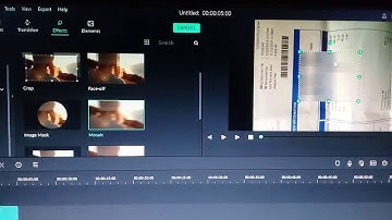 How to HIDE personal information, plate number,  etc. || Filmora9