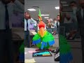 This Parrot Played Carnival Music in a Quiet Office and EVERYTHING Fell Apart #shorts #funny #viral