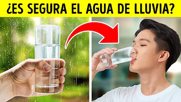 ¿Se puede beber agua de lluvia?