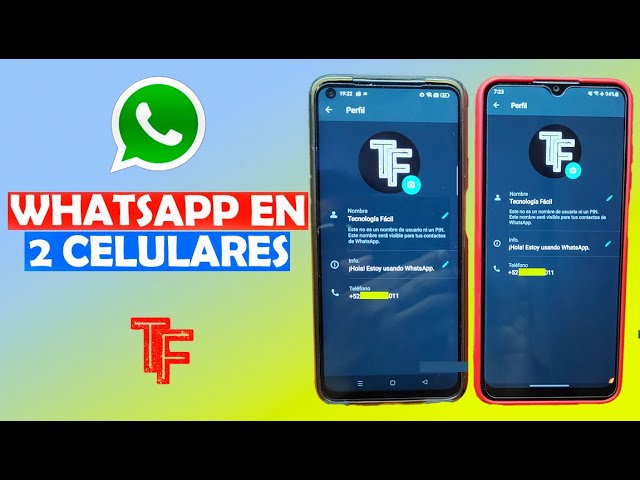 WhatsApp: 5 teléfonos básicos y económicos que son compatibles con la app  de mensajería Video, Tecnología