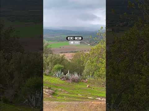 مع الاسف اكسبلور رفيوهات قصص ماوراءيات كوميديات روايات بوليسية