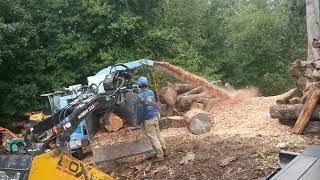 Cummins powered woodchipper makin' some chips!