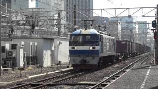 JR貨物 EF210-901 貨物列車(5091レ 桃太郎 試作車 クマイチ) JR名古屋駅