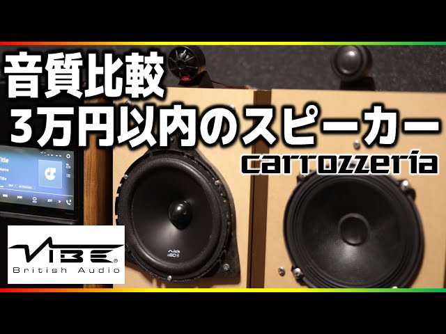 vibe audio BDPRO6M-v9  6.5インチスピーカー