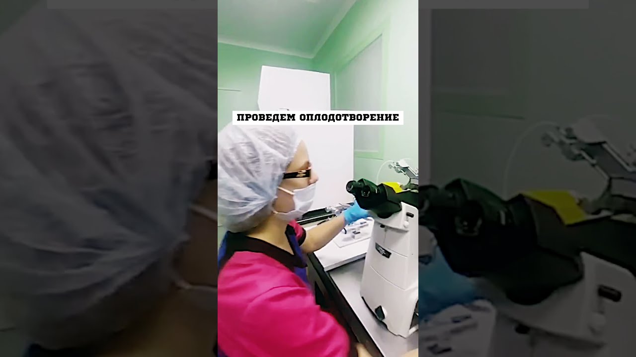яйца лопаются от спермы