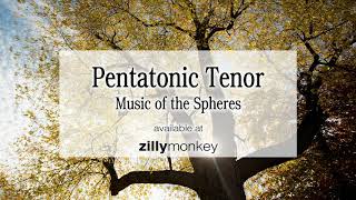 Listen to Pentatonic Tenor Wind Chime - Music of the Spheres