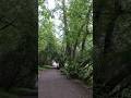 #спешить#поровну#хороший#день