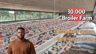 30,000 Broilers Poultry Farm in Zimbabwe| Deep Litter System | Modern Broiler Floor Raising System