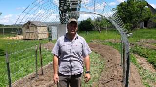 I took the opportunity to put together a video of a neat trellis idea to use with pole beans or anything else that climbs or vines. Thanks 