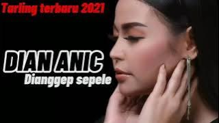 Dianggep sepele-Dian anic tarling terbaru 2021 (lirik video)