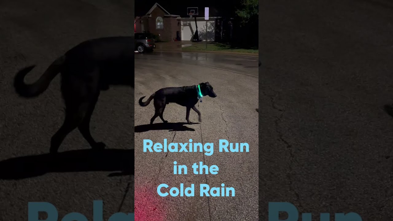 Relaxing Run in the Cold Rain
