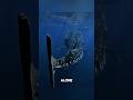 The story of the mysterious death of the blue whale 👀 #foryou #bluewheel #englishshorts #usashorts