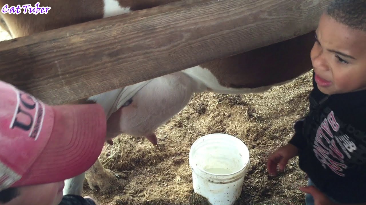 kids anka JUST WAIT FOR IT! - Extremely Funny Moments and Fails