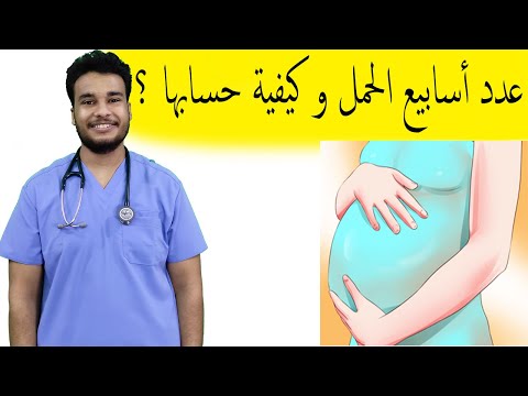 فيديو: كم عدد أسابيع الحمل الكامل؟