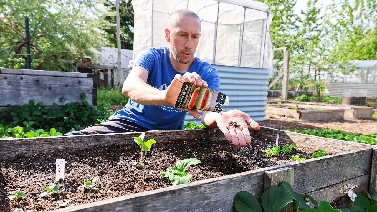 10 Crops You’d Be FOOLISH Not to Plant in May