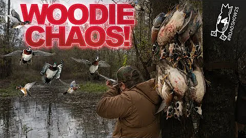 ARKANSAS OPENING DAY WOOD DUCK INSANITY!! Drakes Only in Flooded Timber | #ROADSHOW25 HUNT 14