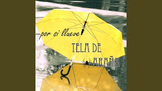 Video thumbnail of "Tela De Araña - Ciudadano Sin Identidad"