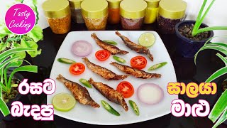 රසට බැදපු සාලයා මාළු | Fried Salaya Fish | Badapu Saalaya Maalu | Tasty Cooking