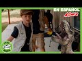 Dinosaurios y un Mensaje Misterioso en una Botella - T-rex