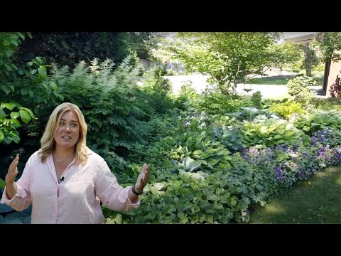 Video: Midwest Shade Garden – Vytvoření stínové zahrady na Středozápadě