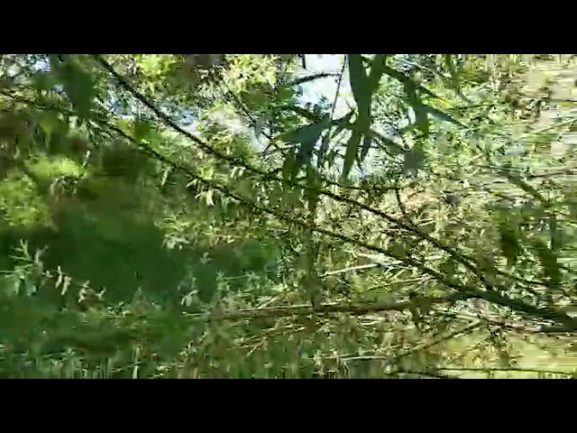 Malinki qiz bilan jinsiy aloqa video Kinolarda aktrisalar minutlar berishadi