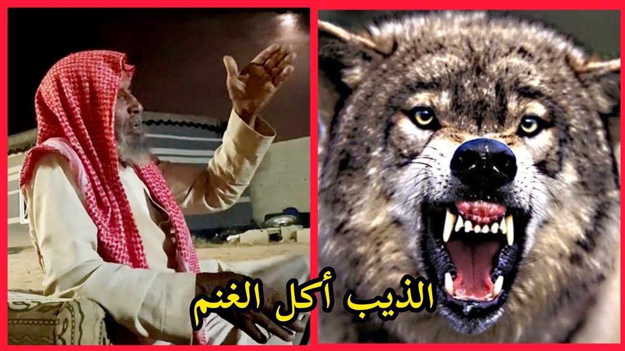 الذيب أكل الغنم سمير الحويمضي